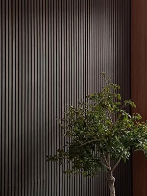 Eco Friendly Wood Acoustic Panels Noise Absorption for Stylish Interiors